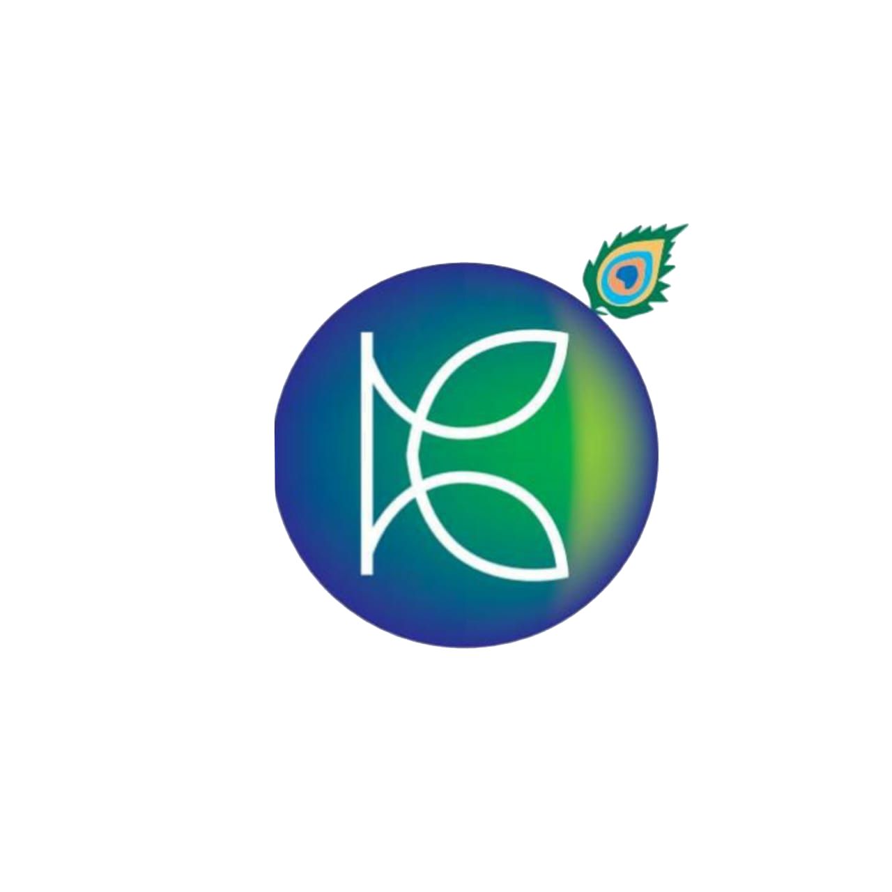 Home codexsoftwares in home-codexsoftwares-in